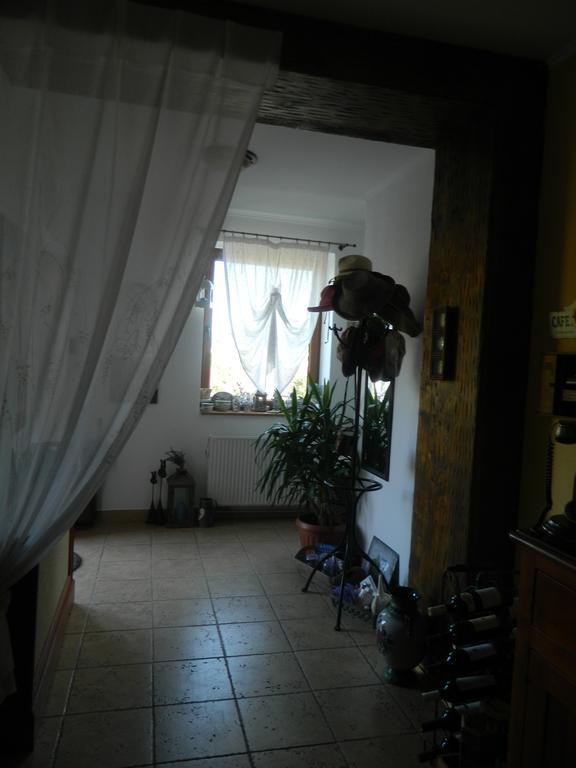 Sadu Pensiunea Romantic מראה חיצוני תמונה